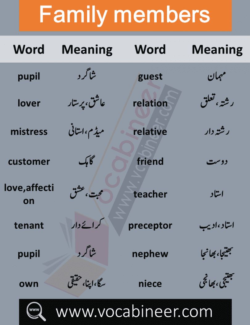 get-excited-meaning-in-urdu-nivafloors-com