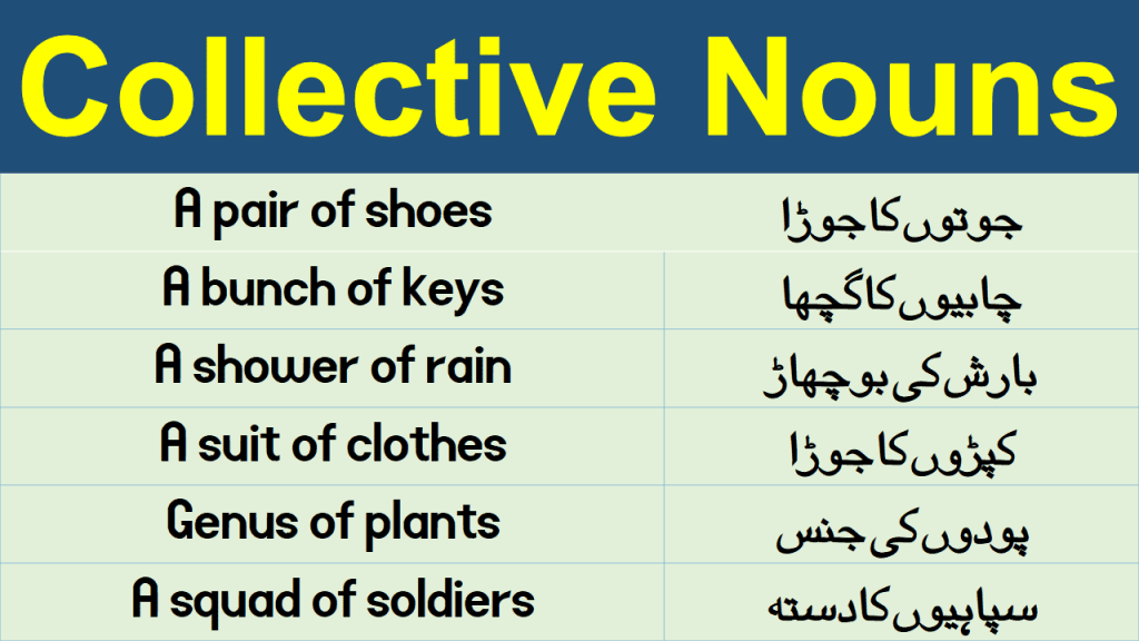 collective-nouns-list-in-urdu-hindi-group-terms-in-english