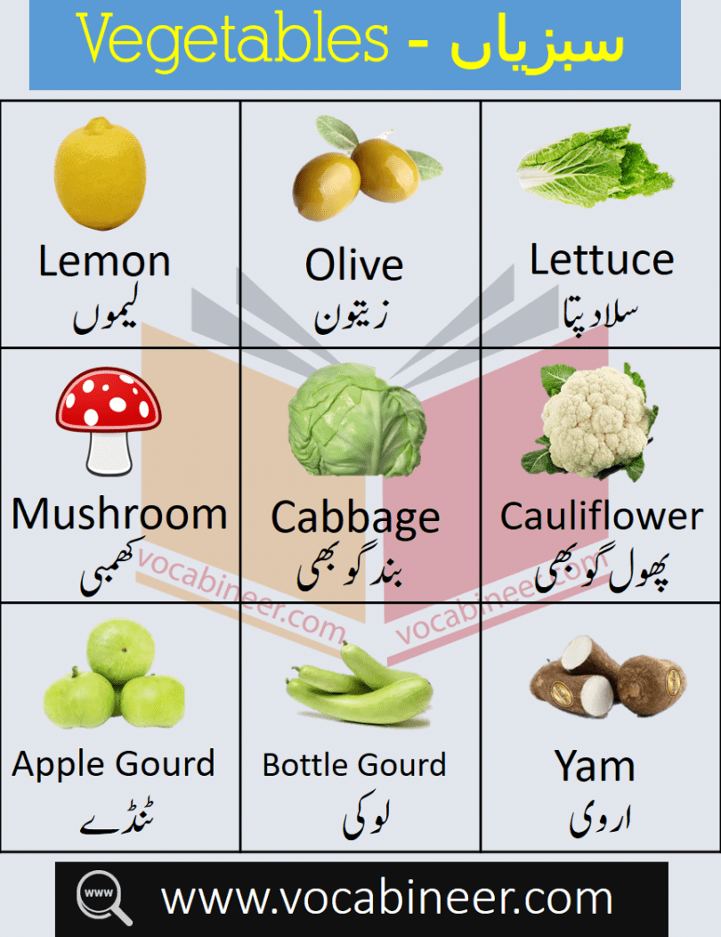 vegetables-name-in-urdu-and-english-with-pictures