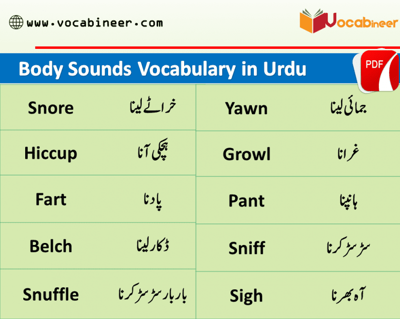 Cheeky Meaning in Urdu شوخ Shokh
