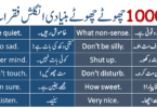 Basic English Sentences in Hindi and Urdu Translation PDF