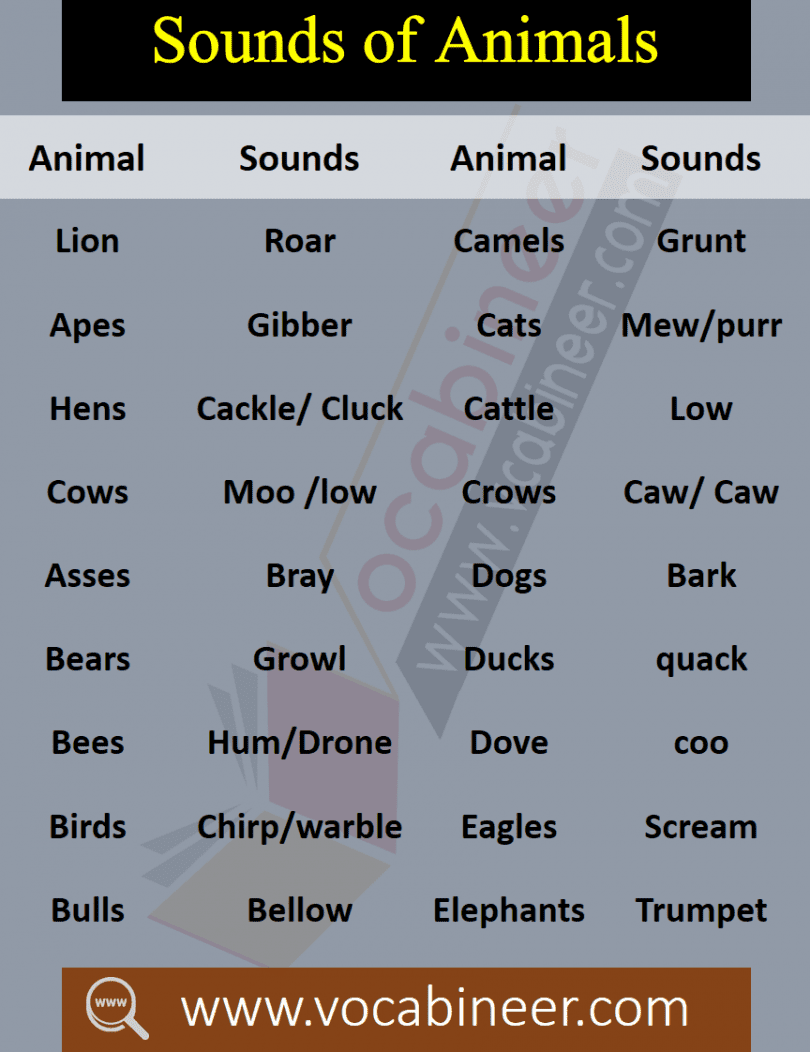 List of Animals Sounds Vocabulary In English • Vocabineer