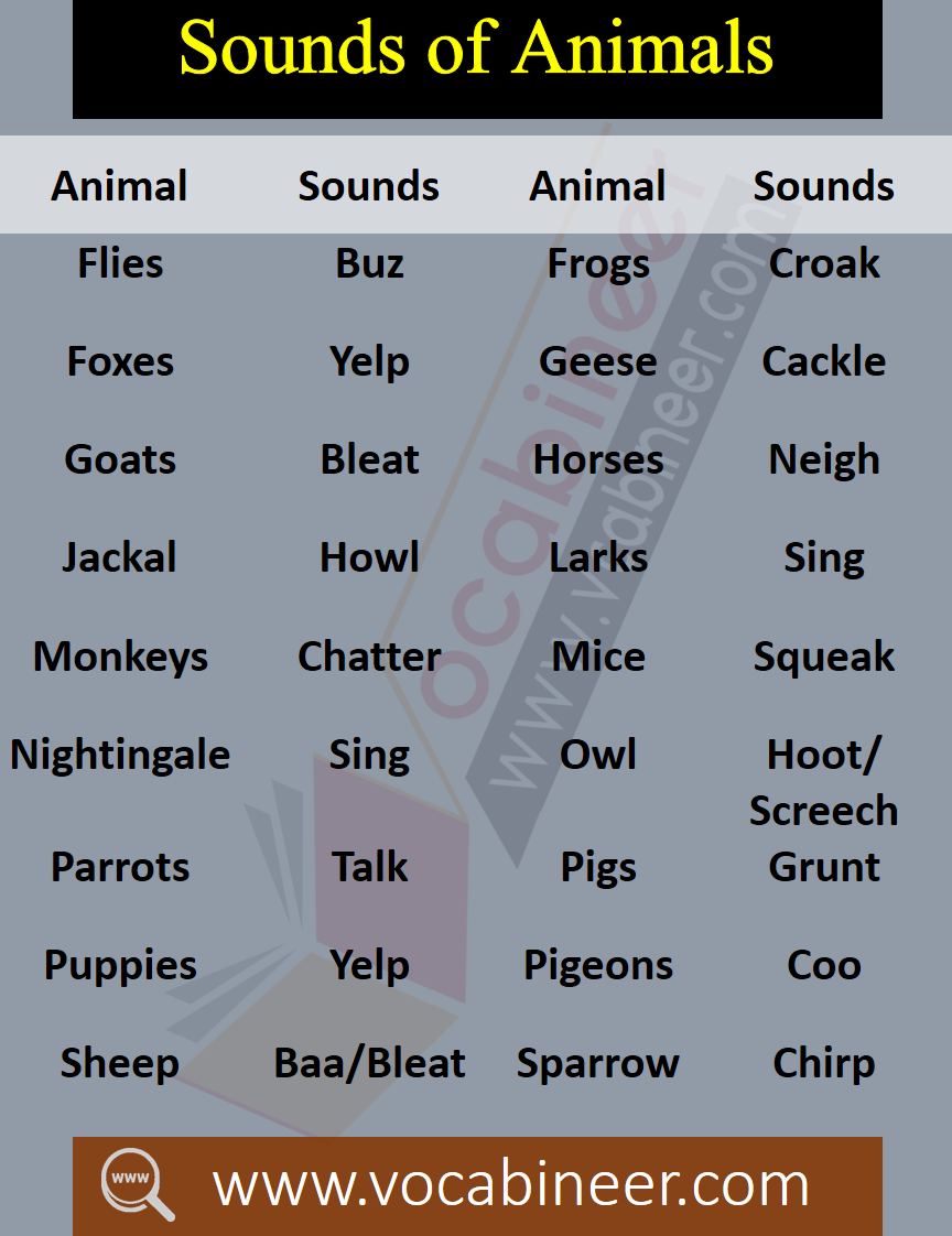 List of Animals Sounds Vocabulary In English • Vocabineer