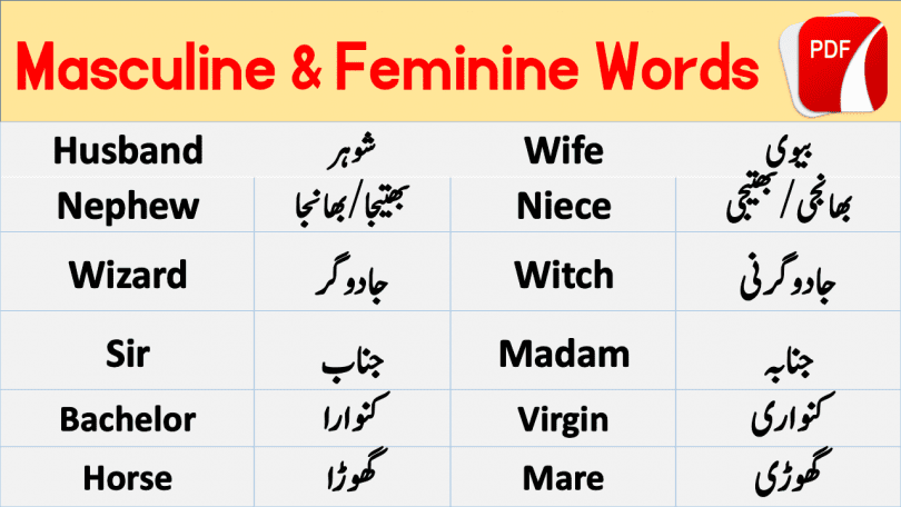 Chic Meaning In Urdu, Wazadaar وضع دار