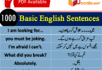 Basic English lessons in Hindi, Basic Sentences in Hindi, Hindi Sentences PDF, Urdu Sentences PDF, Short Sentences with Urdu, Short Sentences with Hindi