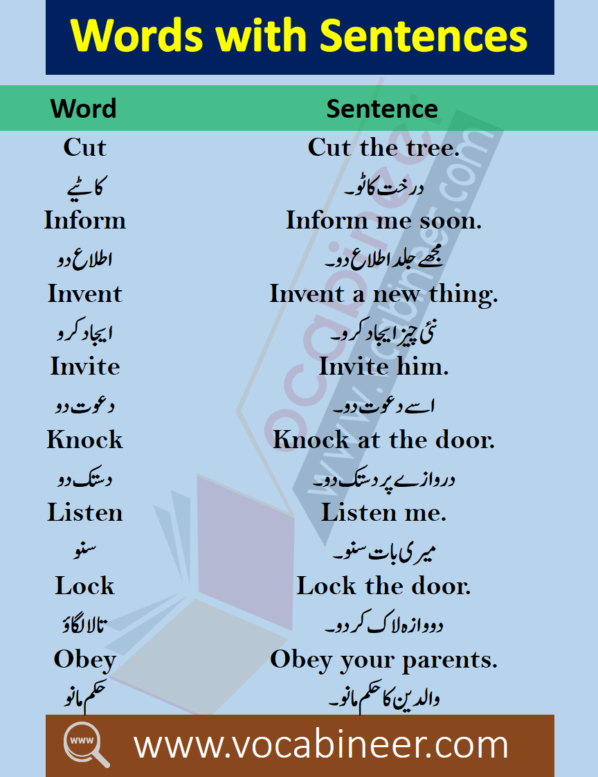 100-english-words-with-sentences-in-urdu-for-daily-use