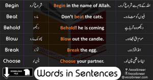 Urdu Words Meaning And Sentences Learn Order Words With Sentences In Urdu Translation Contains 1000 English Urdu Words With Urdu Meanings And Sentences With PDF 300x157 
