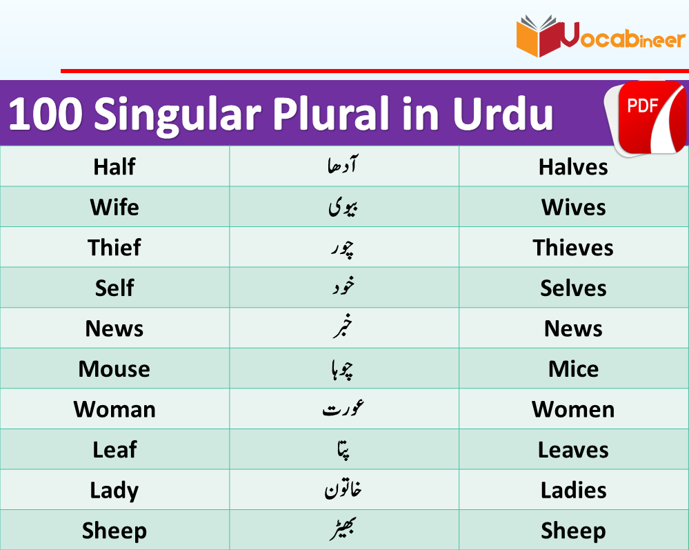 100-singular-plural-nouns-list-examples-in-urdu-or-hindi