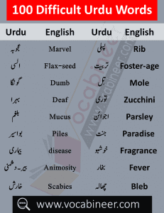 meaning of bad language in english and urdu