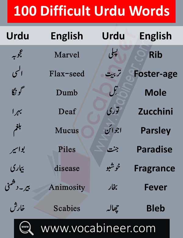 100 Core Urdu Words In English Watch Video Pdf