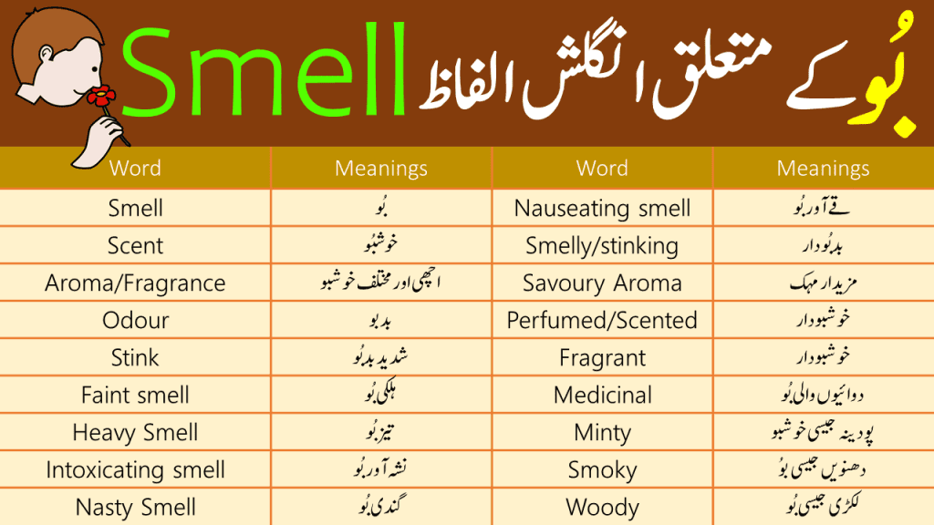 Smell Vocabulary List With Urdu Meanings My Xxx Hot Girl