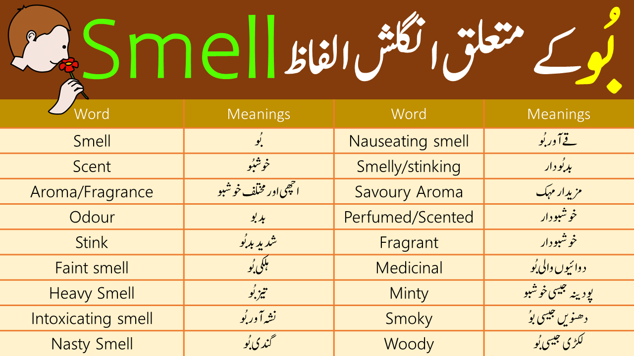 100 Singular Plural Nouns List Examples in Urdu or Hindi