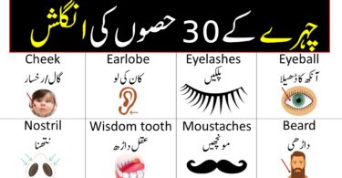 Parts of Face Name in English and Urdu | Face Vocabulary