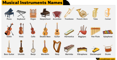 Musical Instruments Names in English – Learn with Pictures