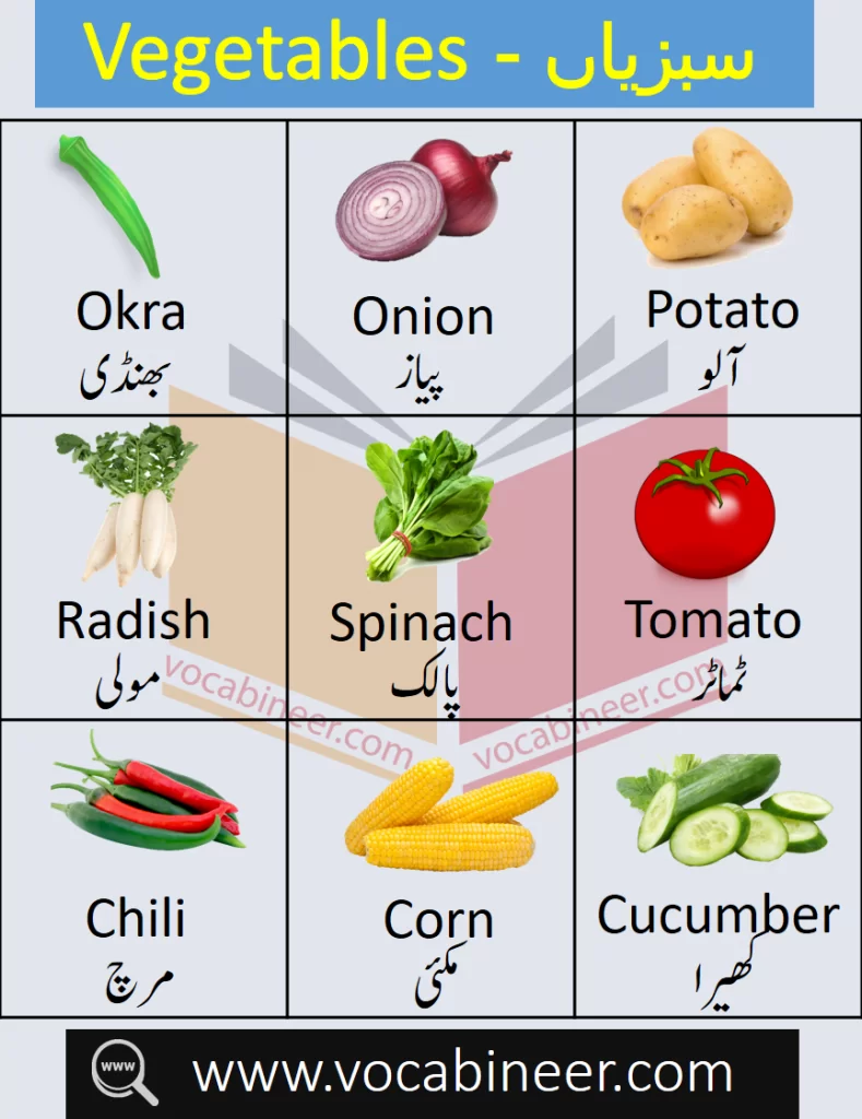 Vegetables Name In Urdu And English With Pictures